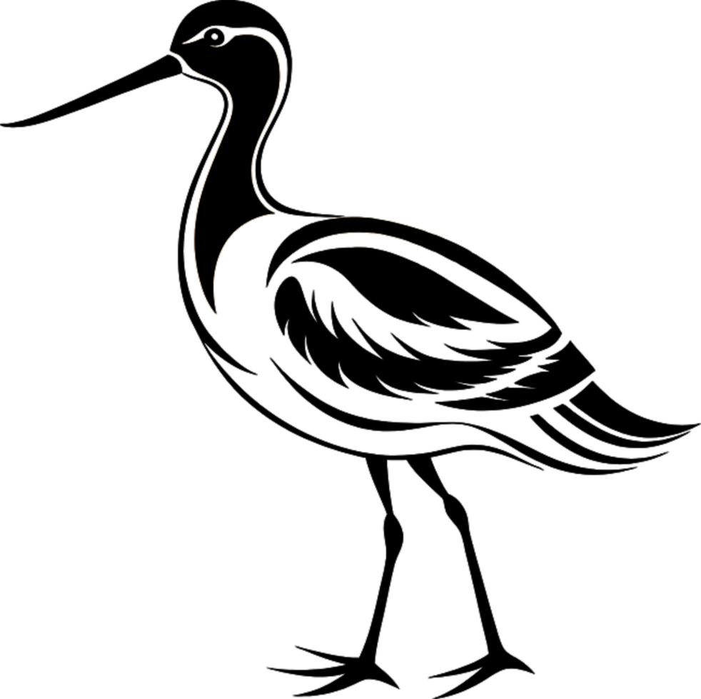 Stylish Black American Avocet Stencil Clipart Sketch. . png