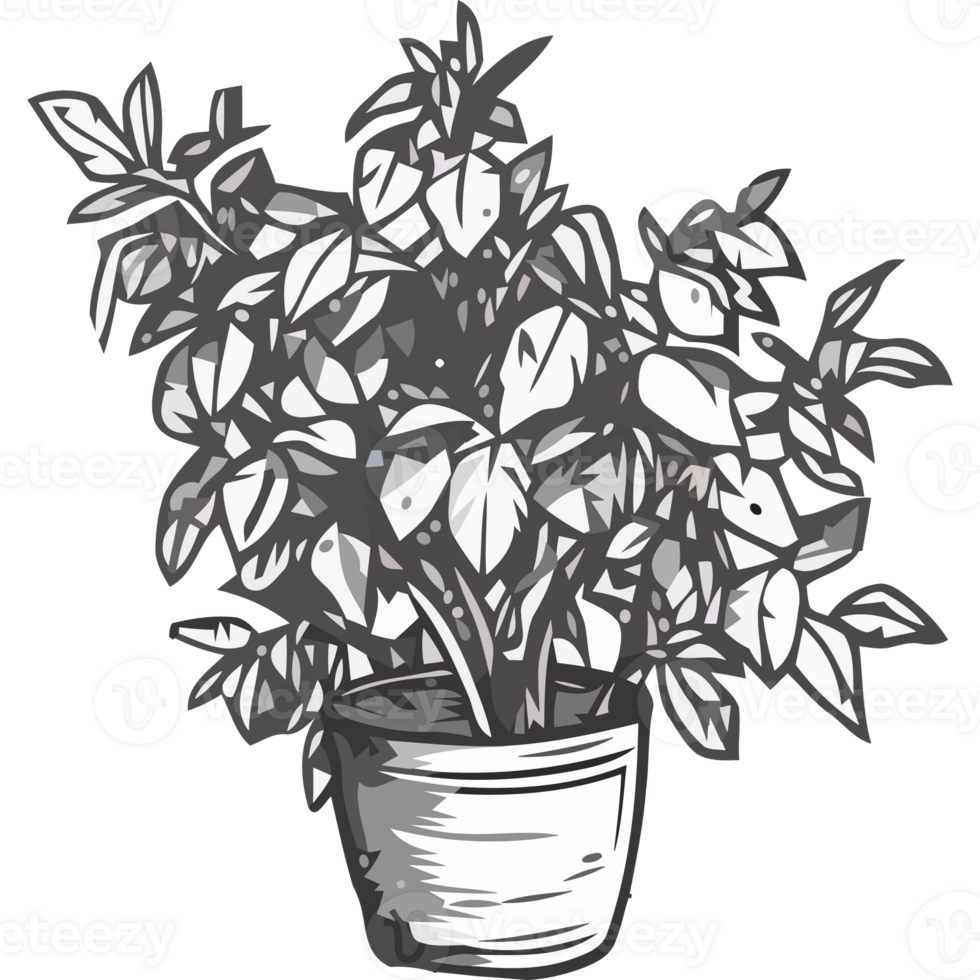 A potted plant with leaves on a black background png