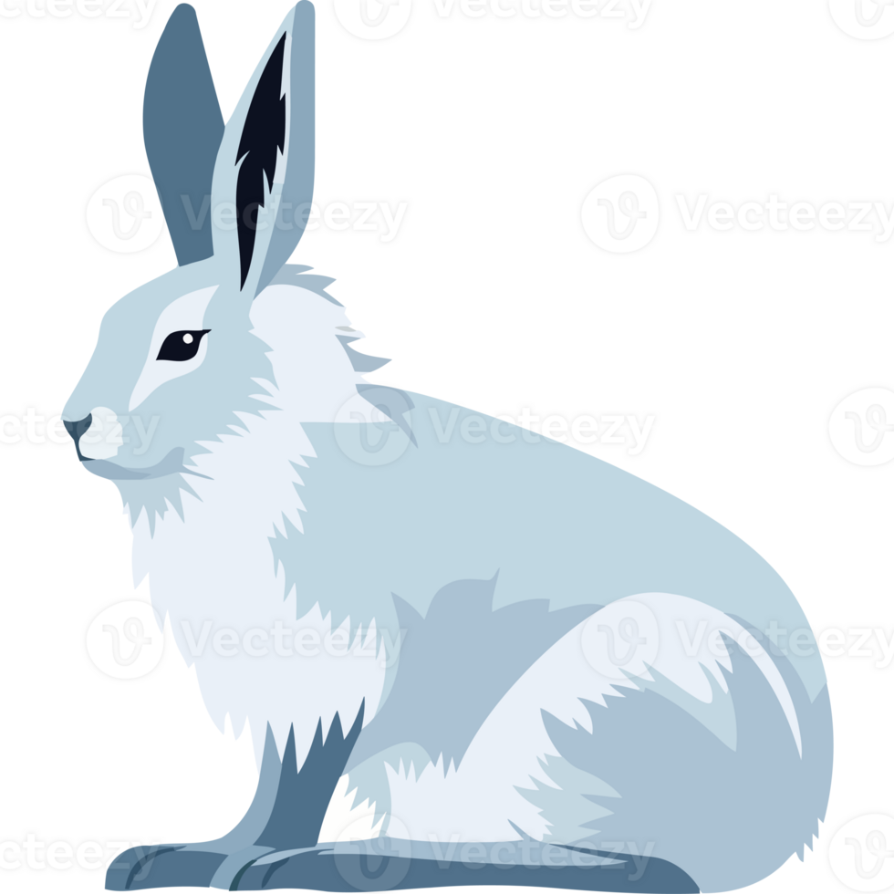 A white rabbit sitting on a black background png