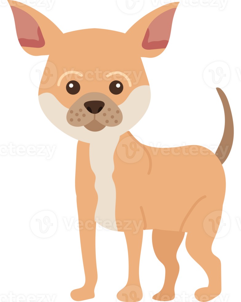 A cartoon chihuahua dog standing on a black background png