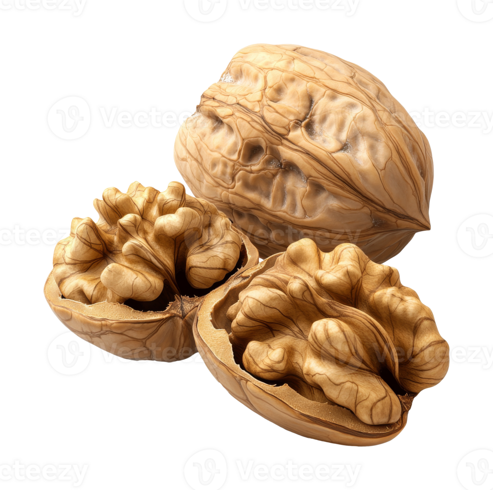 Close-up of walnuts texture and shape, cut out transparent png