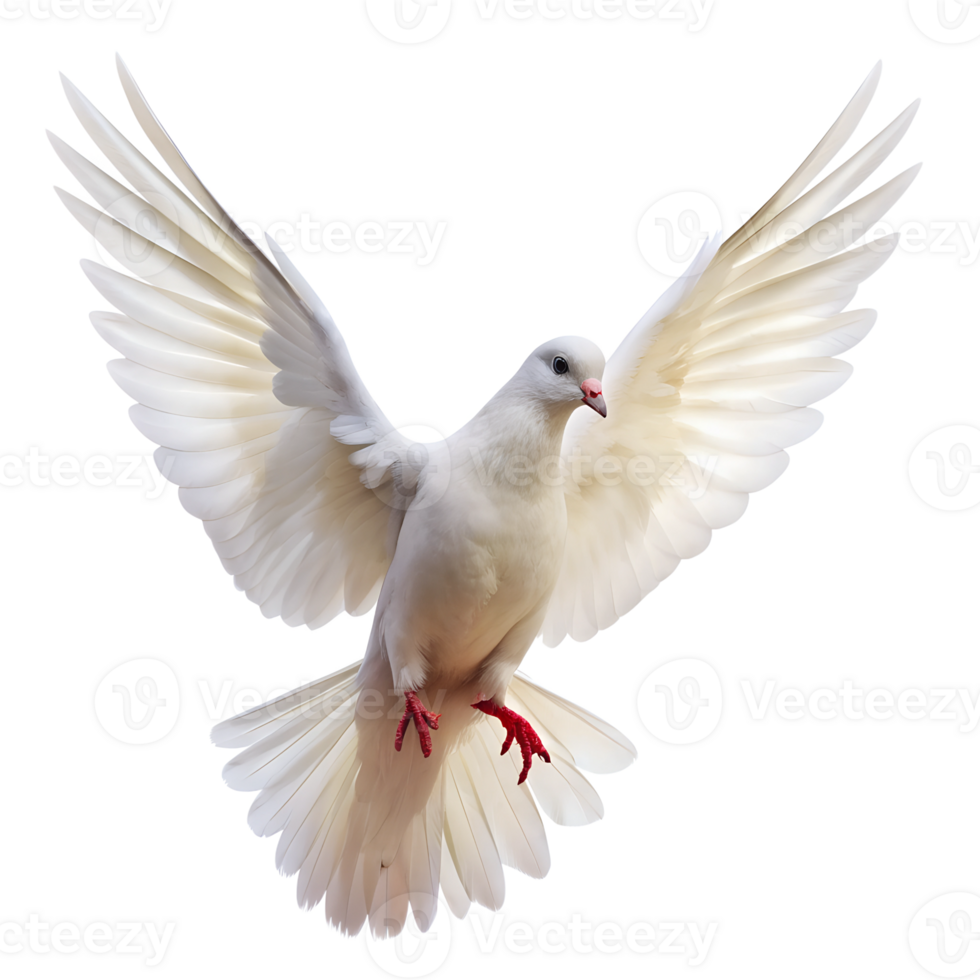 White dove soaring against clear sky, cut out transparent png