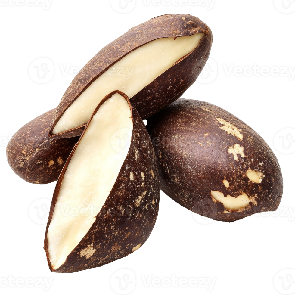 Brown seeds with white pulp sitting on a surface, transparent png