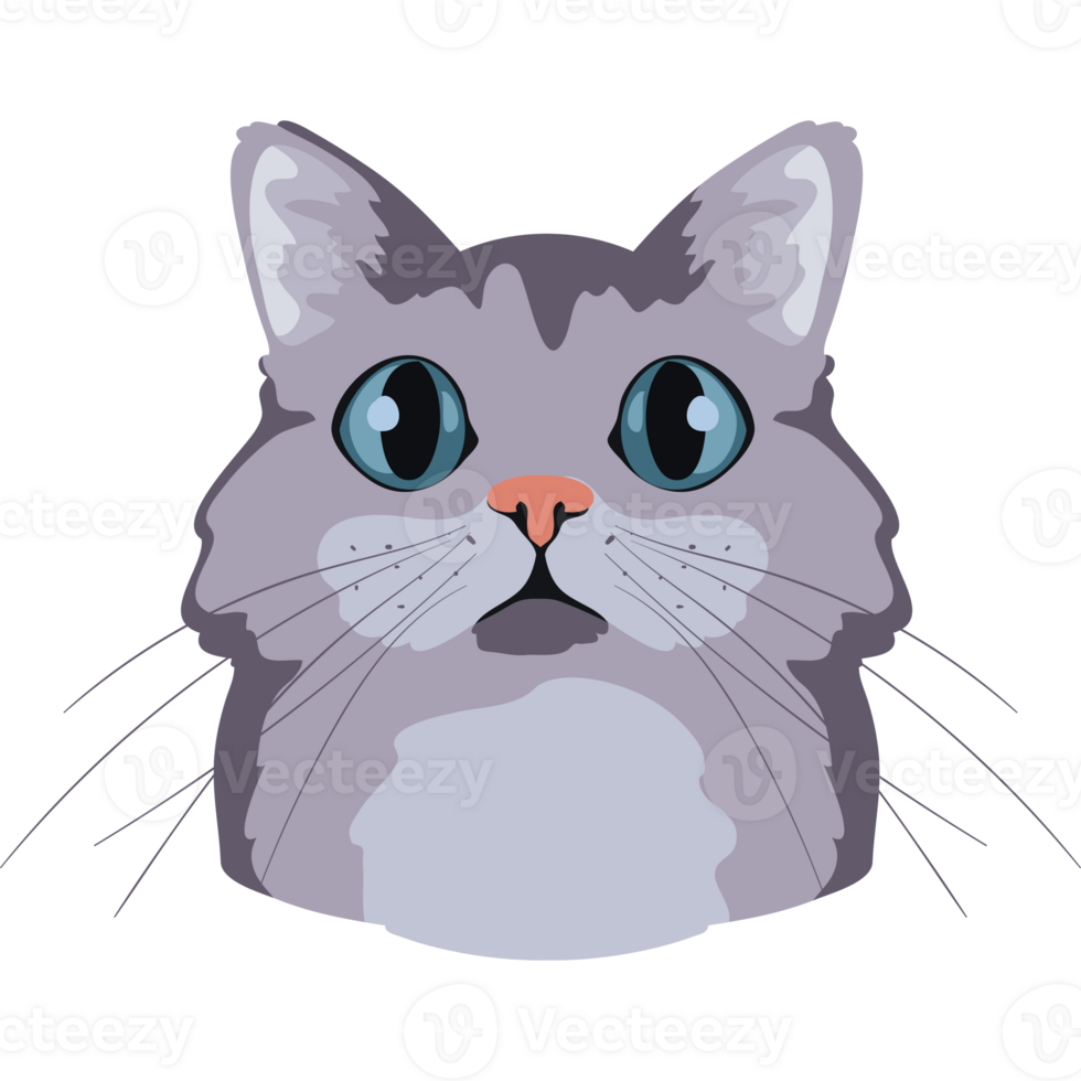 A gray cat with blue eyes on a black background png