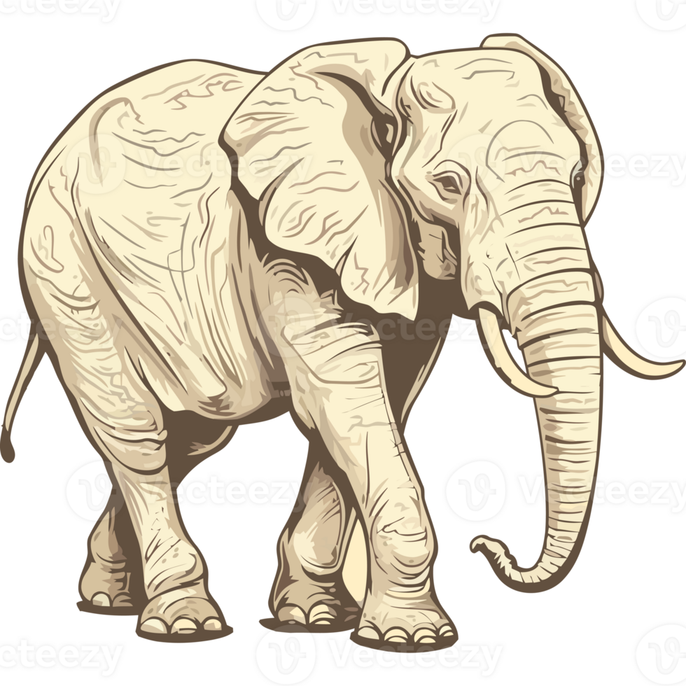 An elephant is standing in front of a black background png