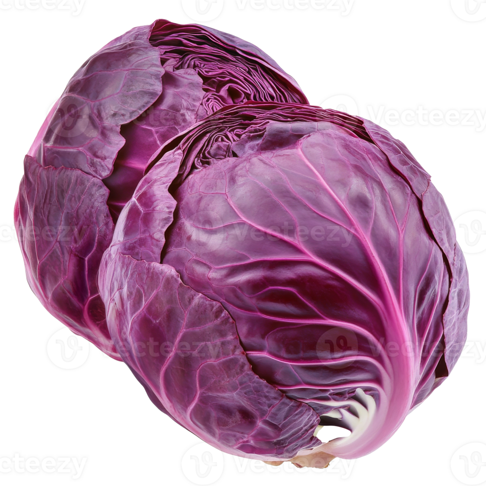 Fresh red cabbage on a white background, transparent png