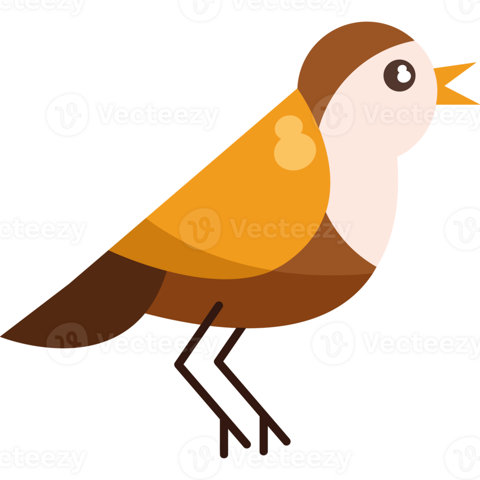 A brown and white bird with a black background png