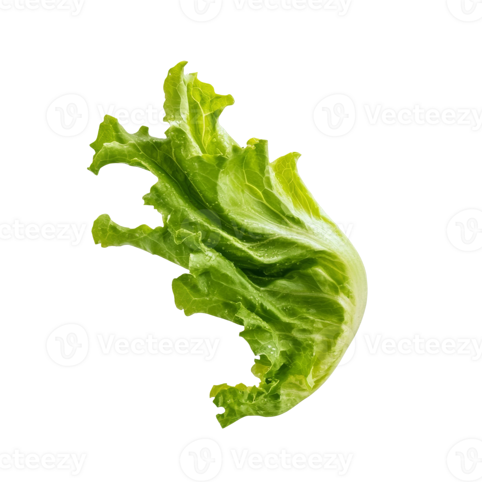 Fresh green lettuce leaf floating in mid air isolated transparent background png