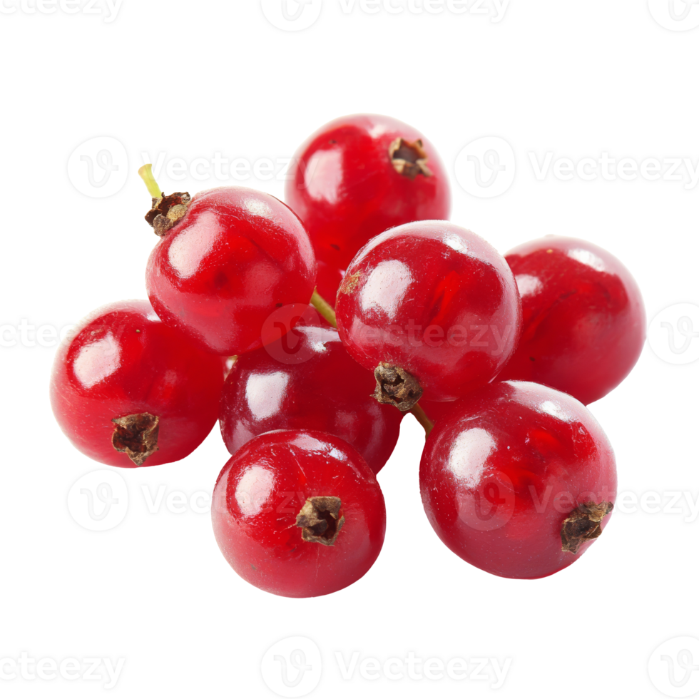 Fresh red currants on a white background isolated transparent background png
