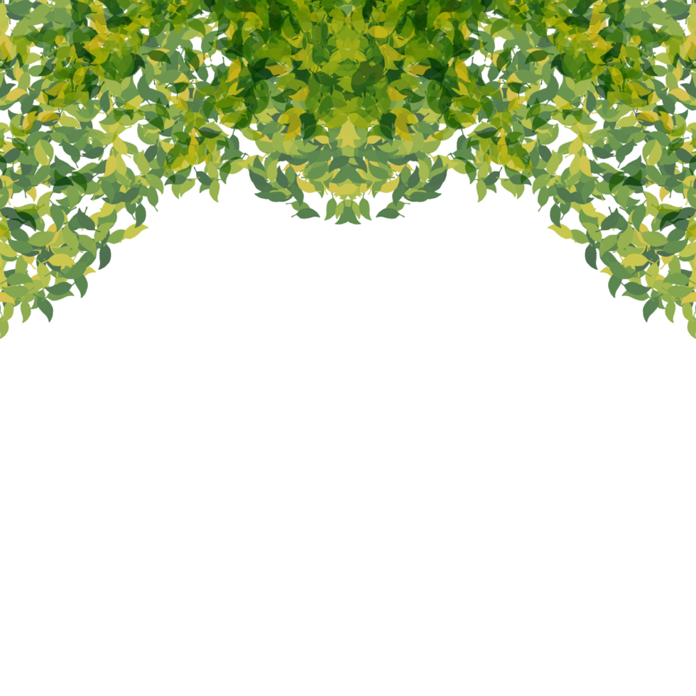 A vibrant frame of lush greenery, encircling a void with endless possibilities. png