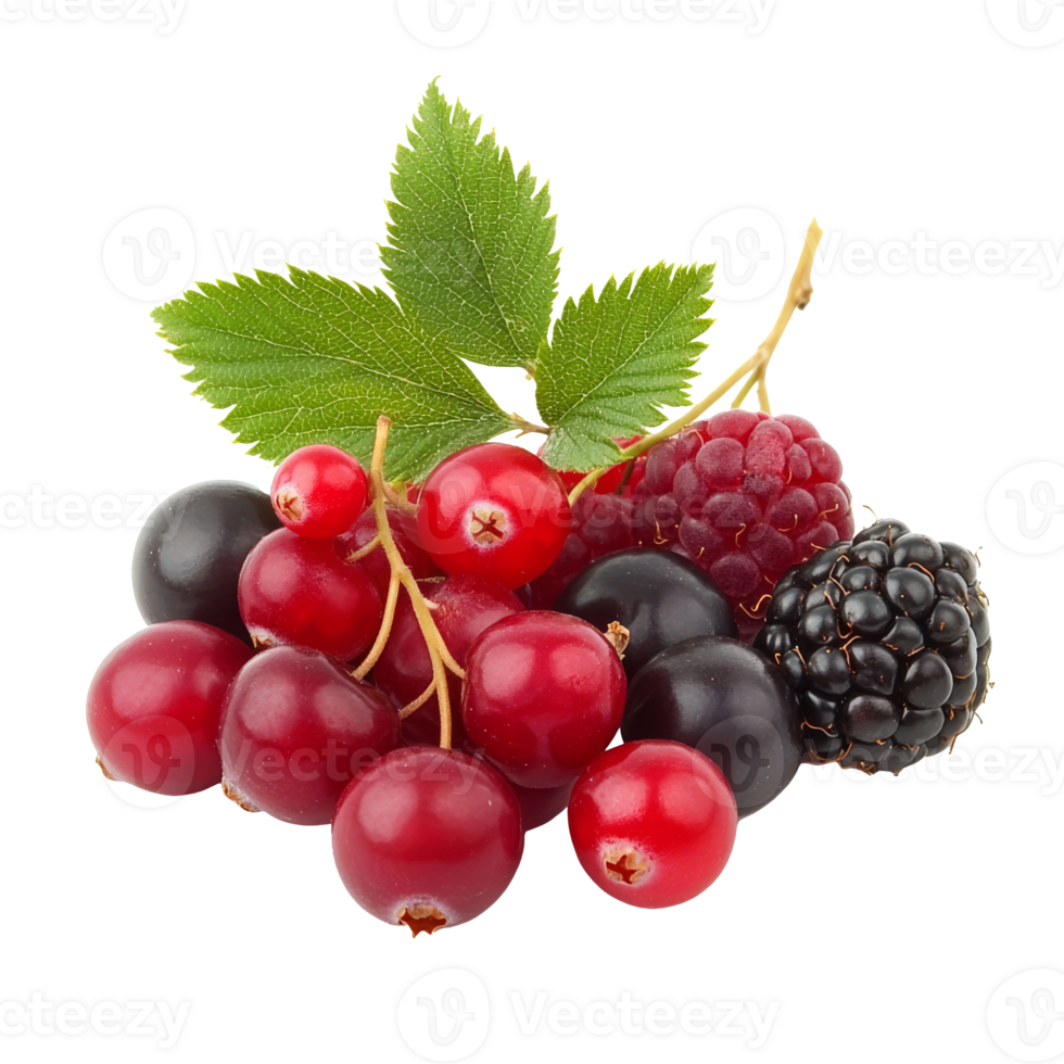 Fresh mixed berries on display with green leaves isolated transparent background png