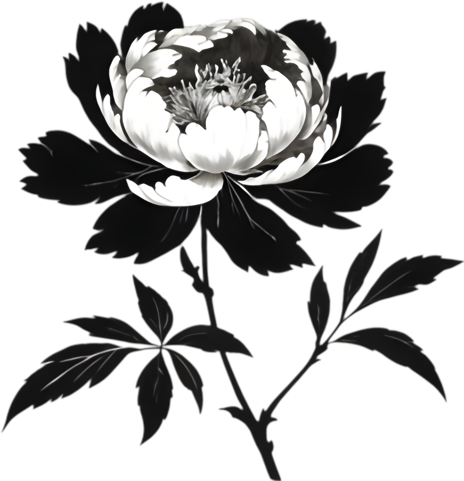 Chic Black Sumi-e Peony Flower for Art. . png