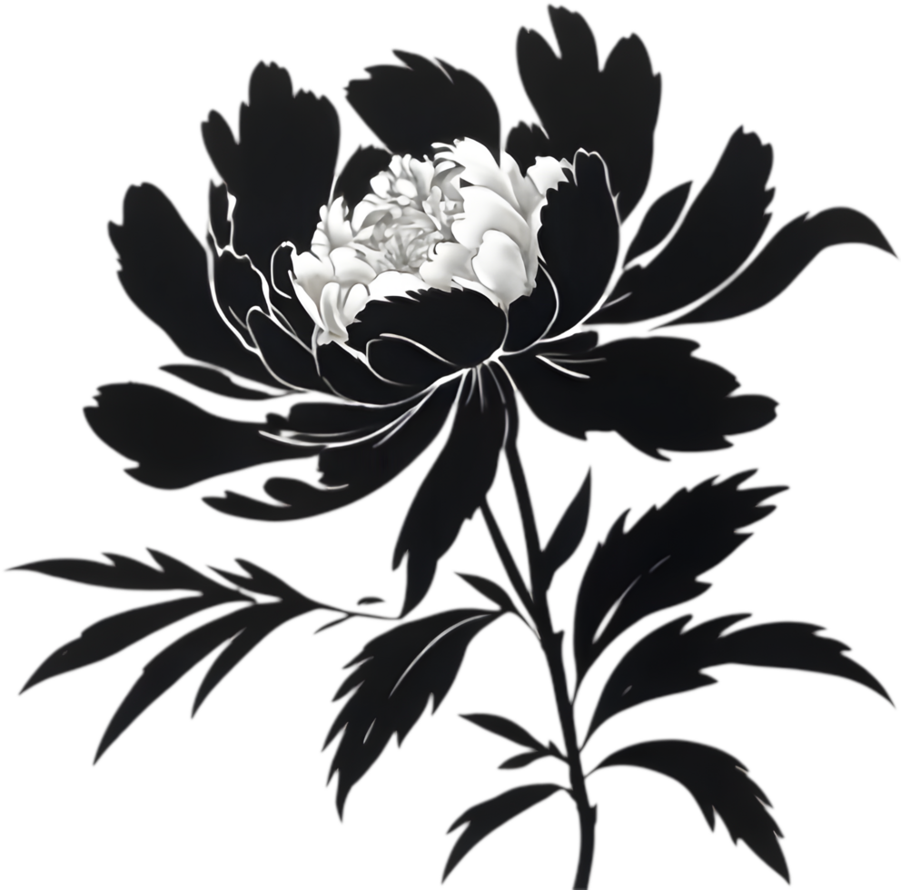 Unique Black Peony Silhouette for Home Decor. . png