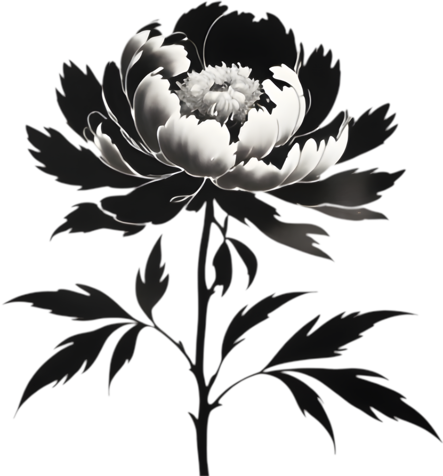 Artistic Peony Flower Silhouette in Black Ink. . png