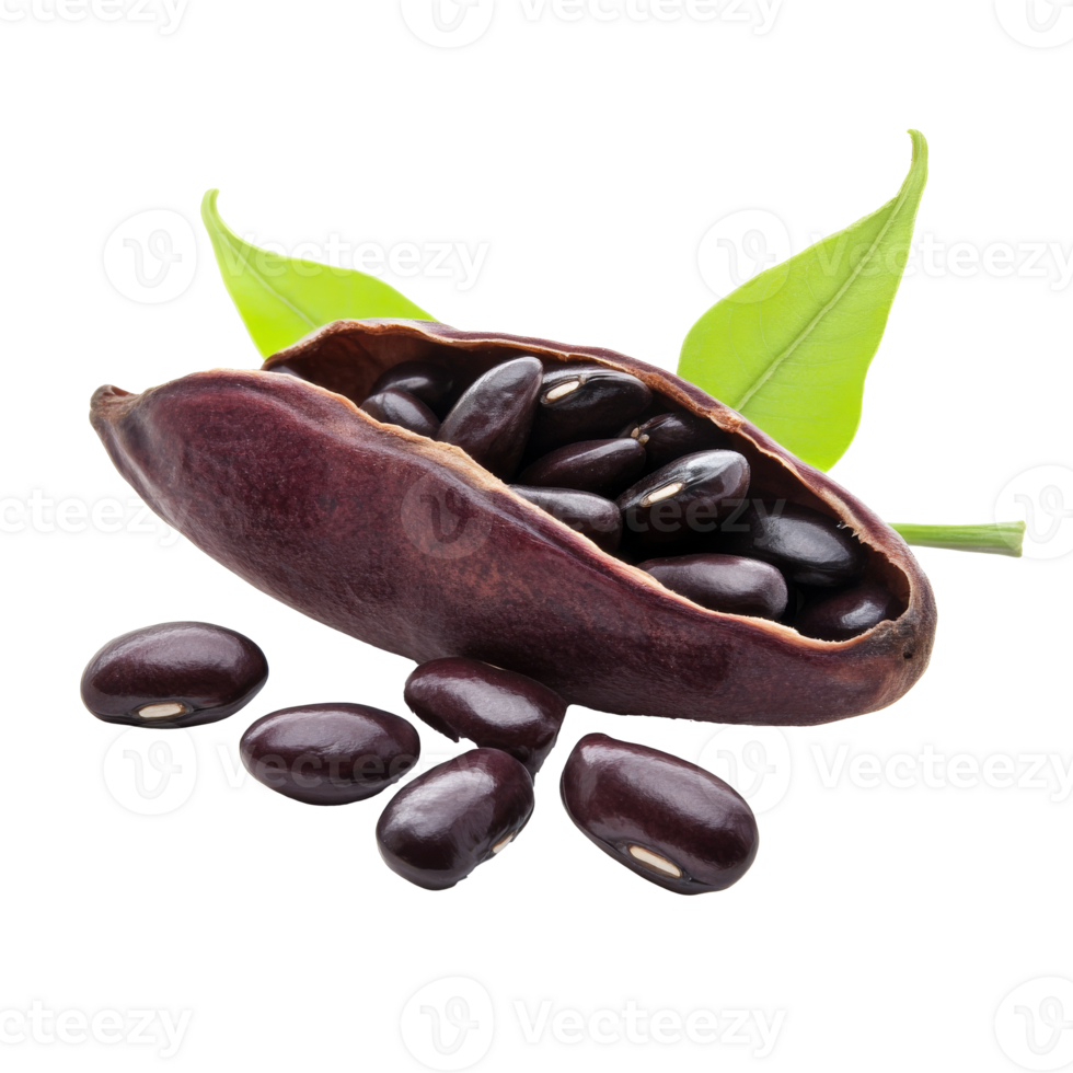 Black beans in a pod with green leaves displayed isolated transparent png