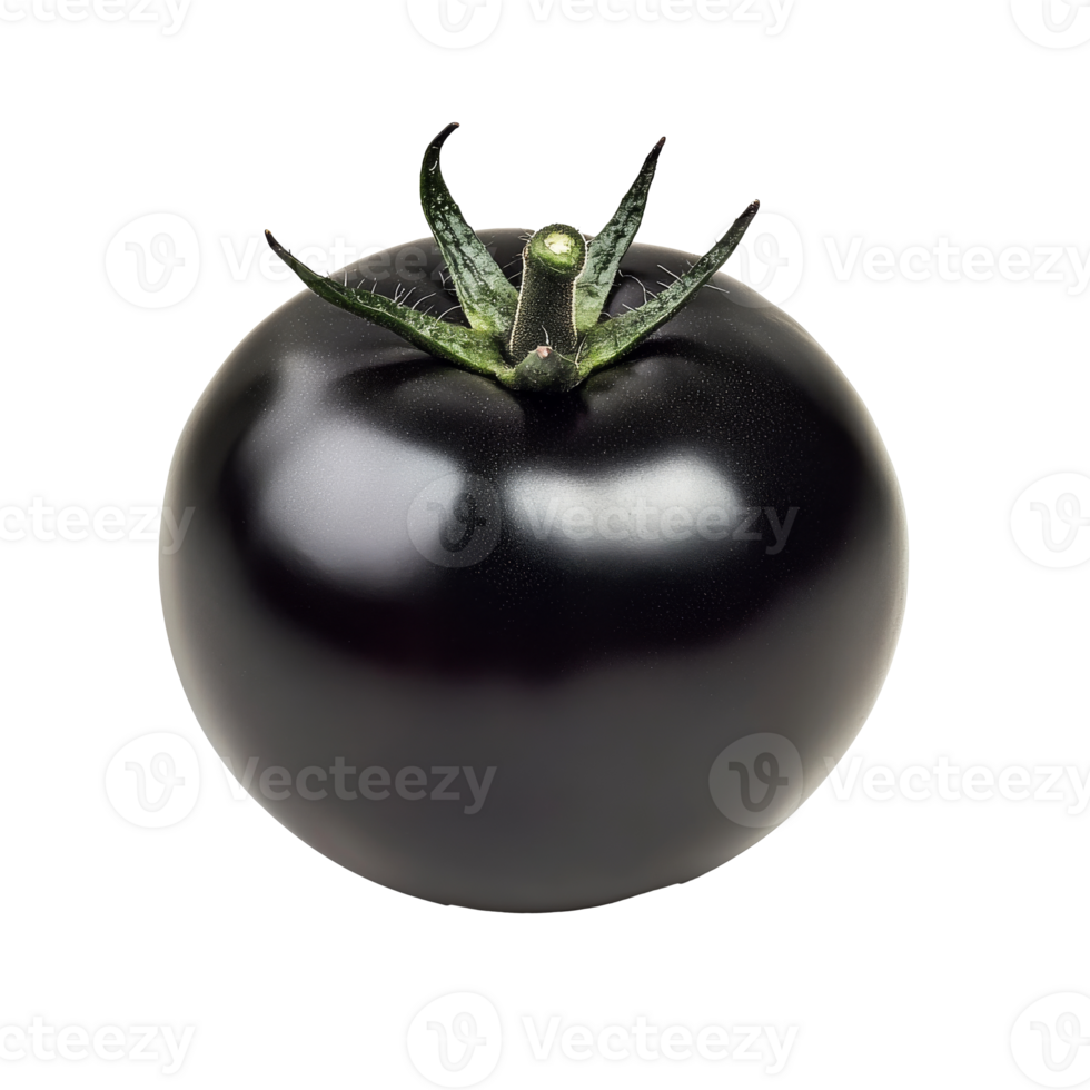 Unique black tomato resting on a smooth surface isolated transparent png