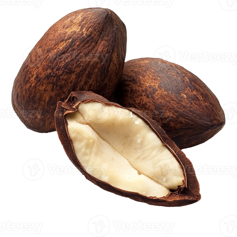 Freshly harvested nuts on a white background isolated transparent png