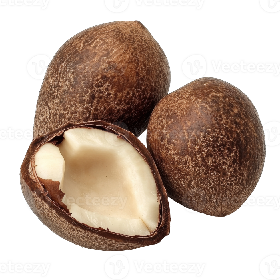 Freshly opened brown sapote fruit on display isolated transparent png