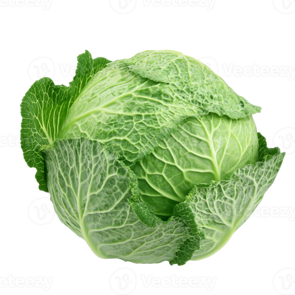 Fresh green cabbage on a white background isolated transparent png