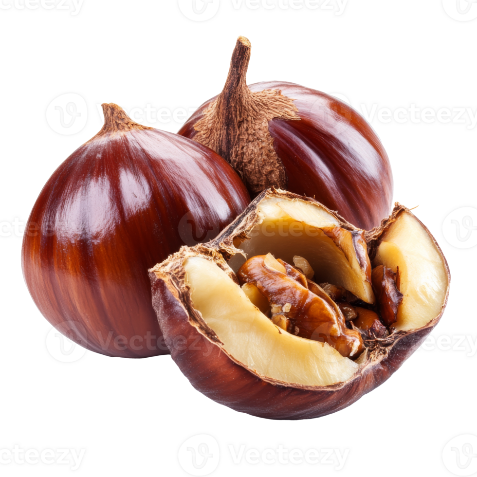Fresh chestnuts for cooking isolated transparent png