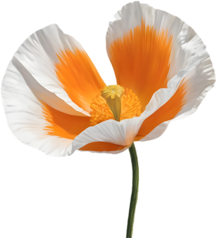Warm-Hued Wildflower of the Golden State. . png