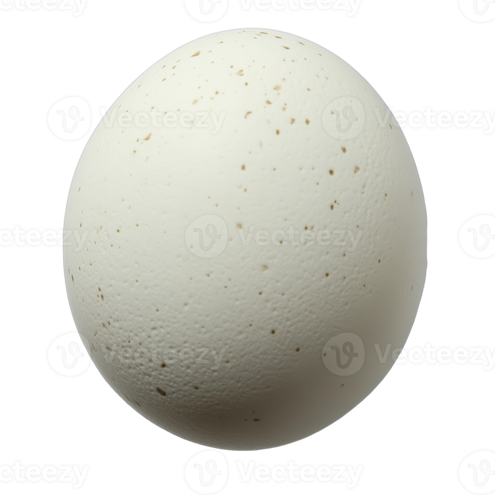 Large white egg on a plain background isolated transparent png
