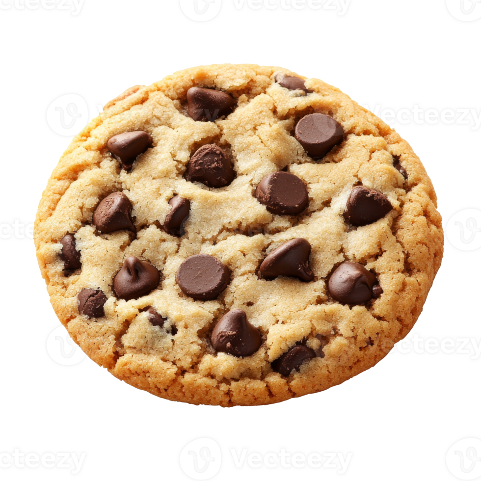 Freshly baked chocolate chip cookie isolated transparent png