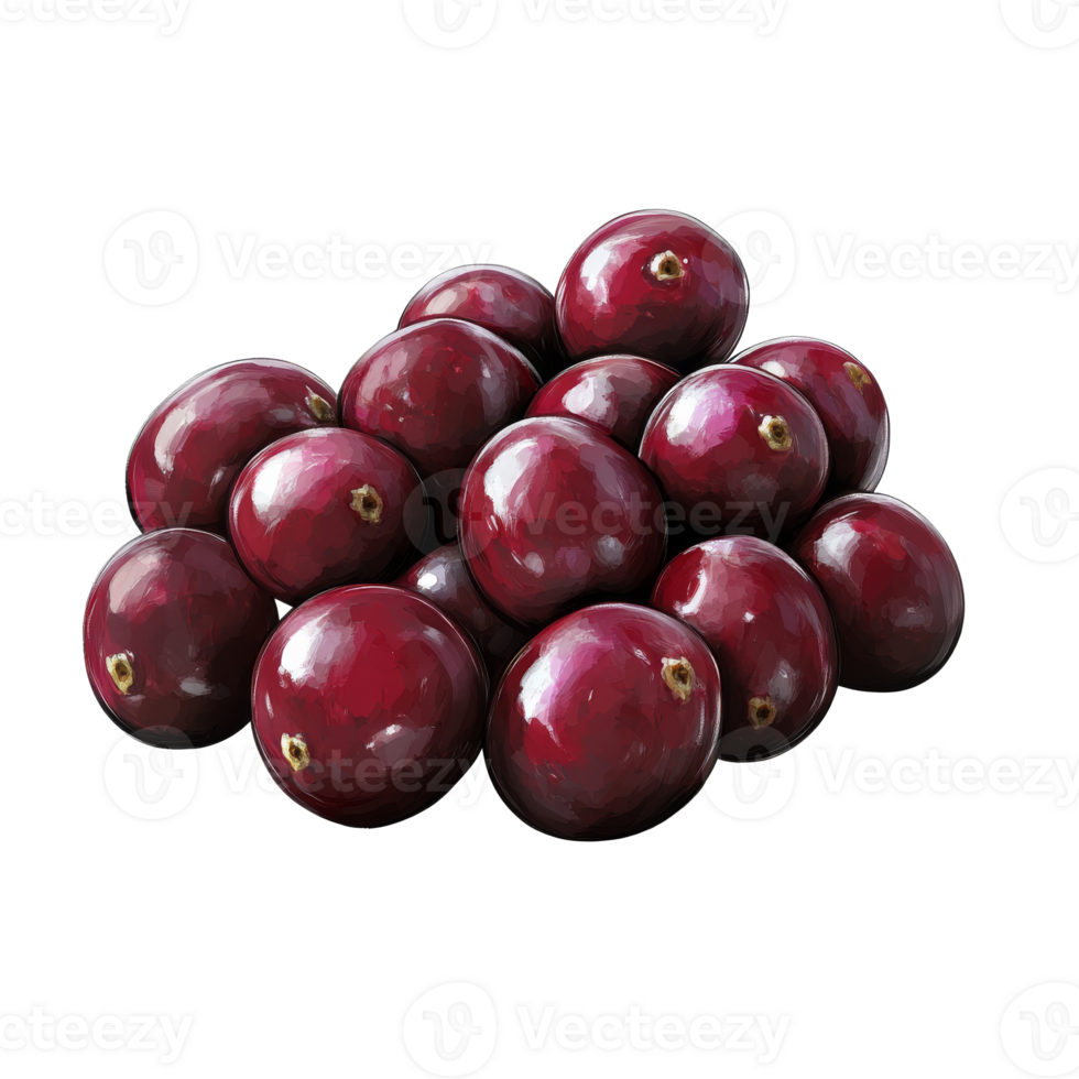Autumn fresh cranberry harvest isolated transparent png