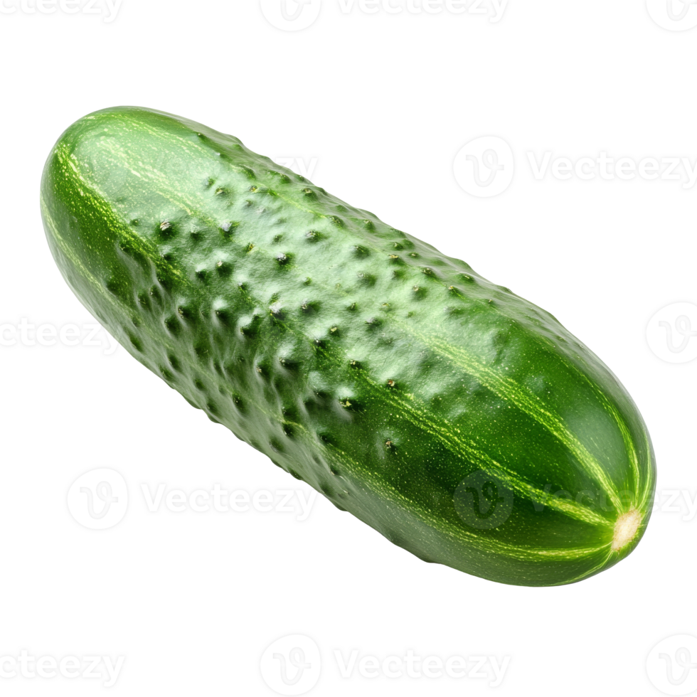Fresh cucumber on a clean white background isolated transparent png