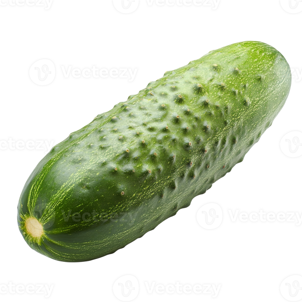 pepino em branco superfície dentro luz do dia isolado transparente png