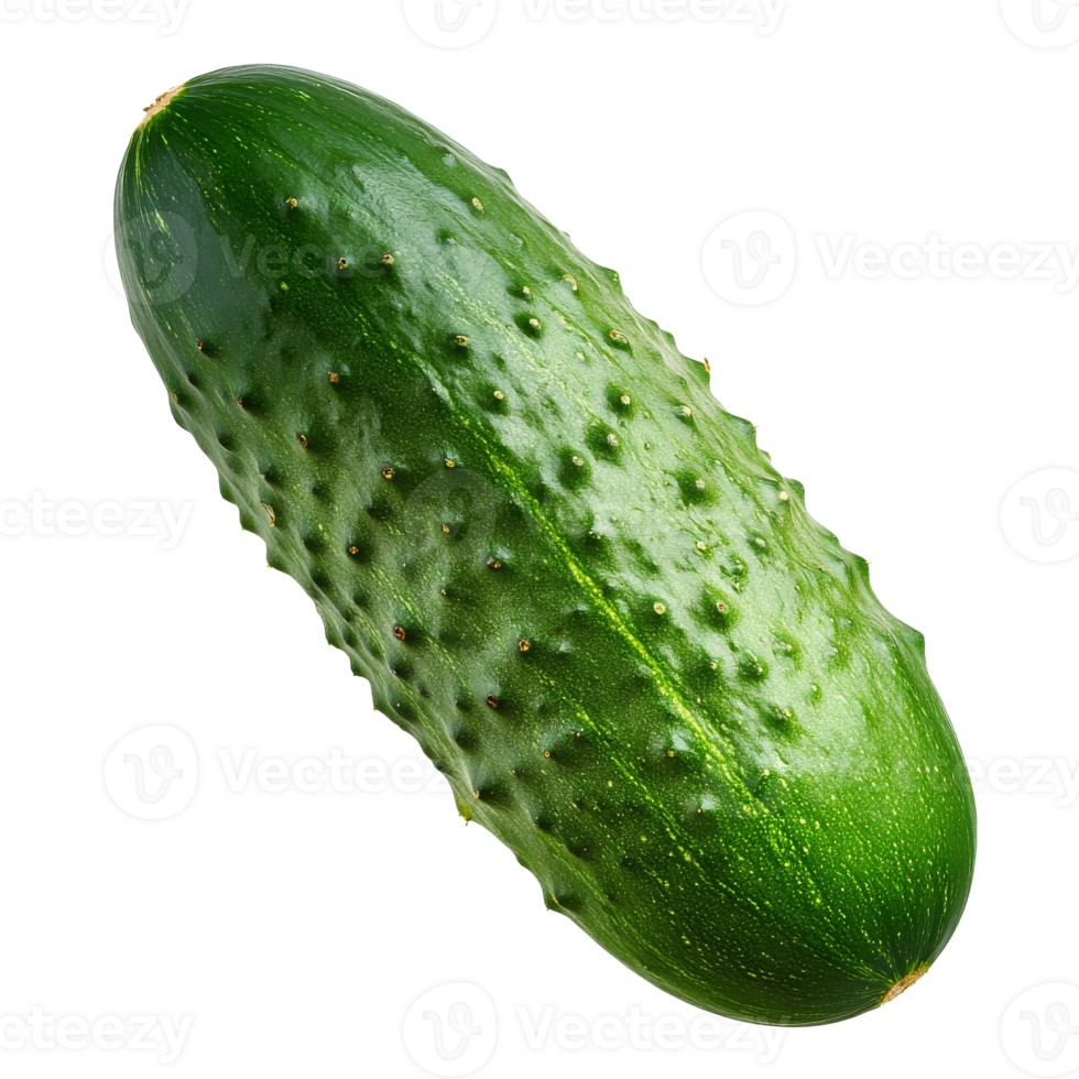 Fresh green cucumber resting on a white background isolated transparent png
