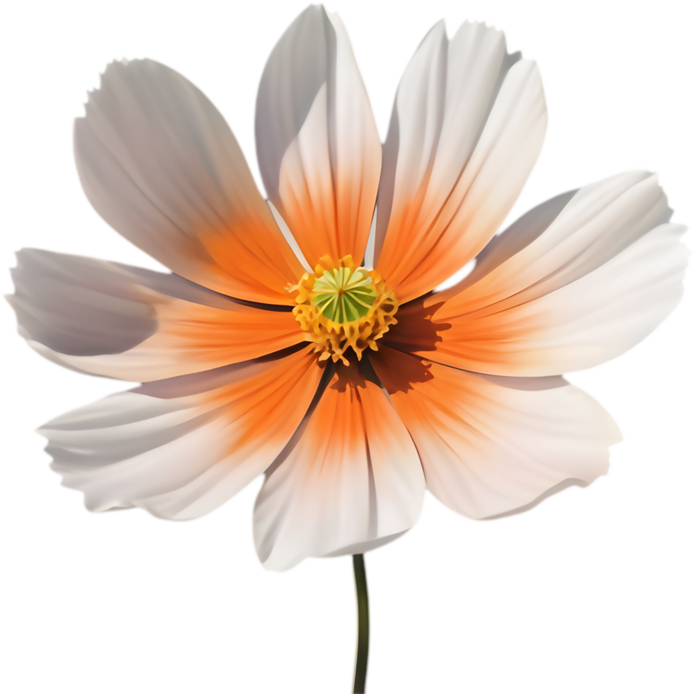 Intricate Cosmos Flower Pattern for Embroidery. . png