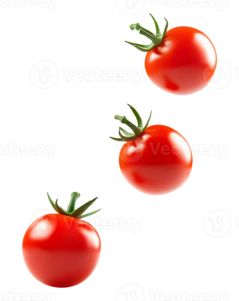 Red tomatoes falling on white isolated transparent png