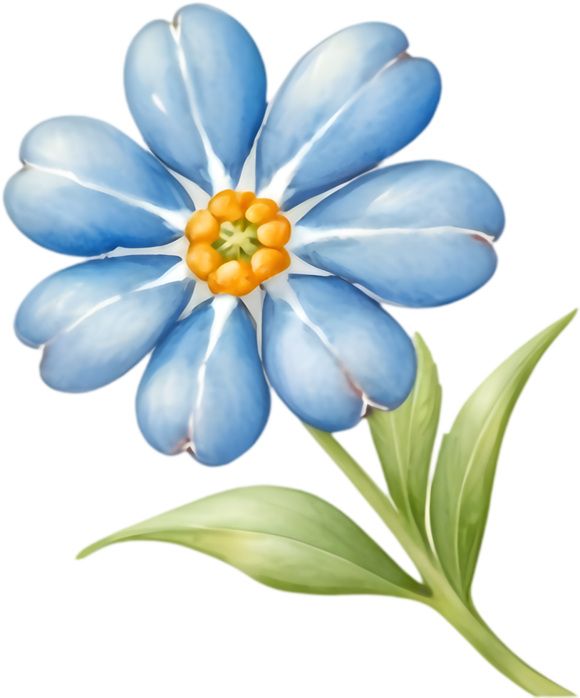 Tranquil Forget-me-not Blossom Design. . png