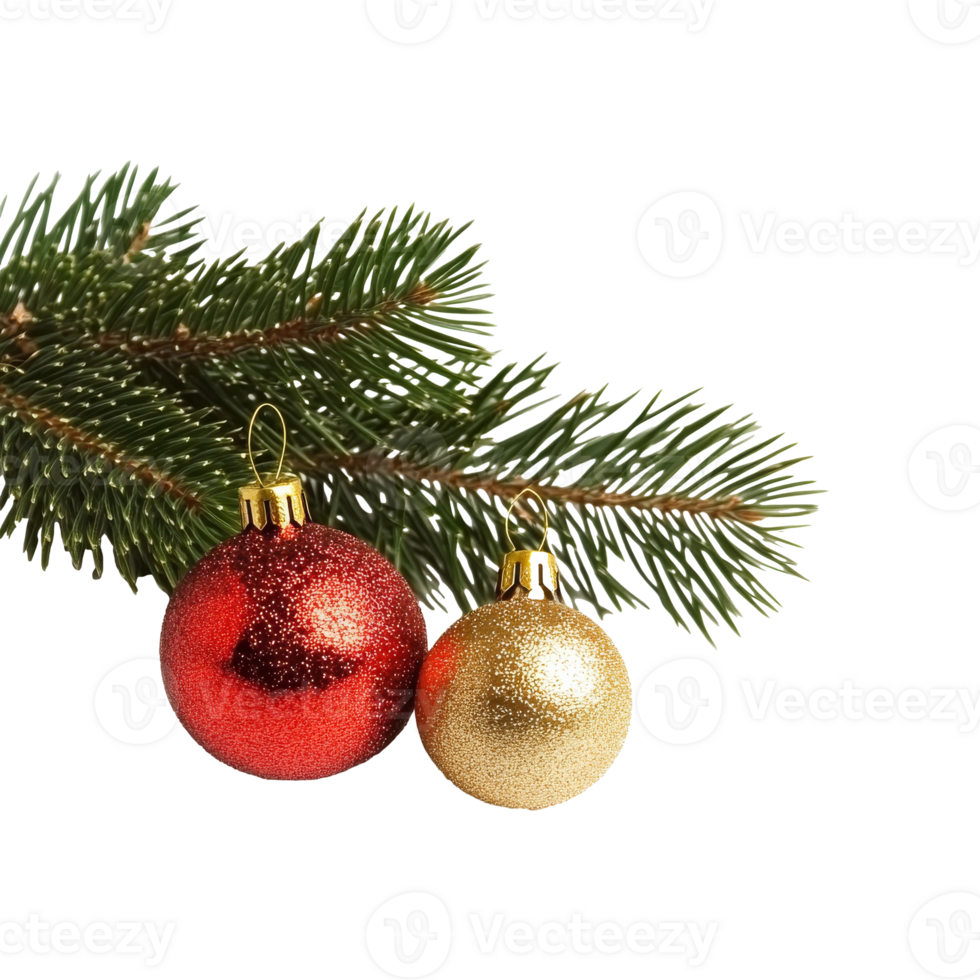 Christmas ornaments resting on a pine branch isolated transparent png