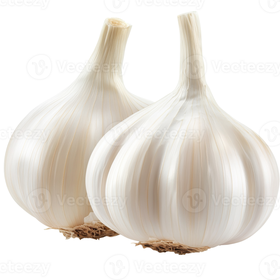 Fresh garlic bulbs displayed on a clean surface isolated transparent png