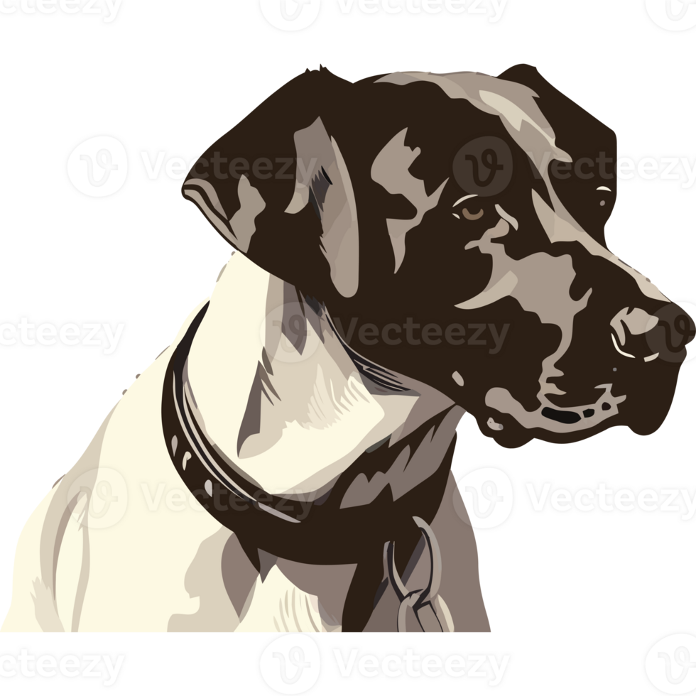 A dog with a collar and a black background png