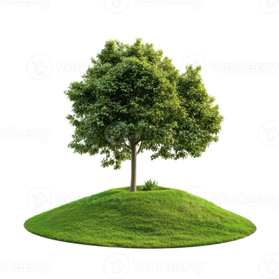 Green tree on grassy hill in sunlight isolated transparent png