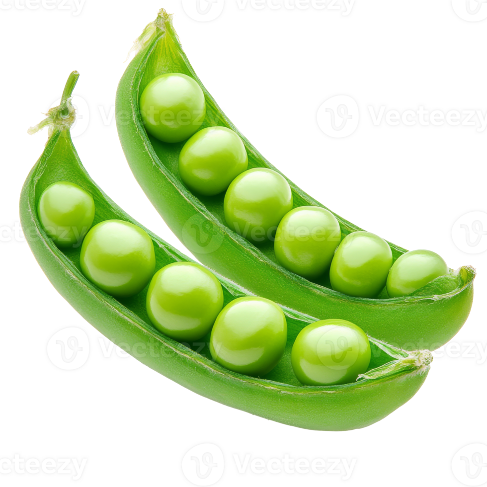 Fresh green peas in pods from a garden harvest isolated transparent png