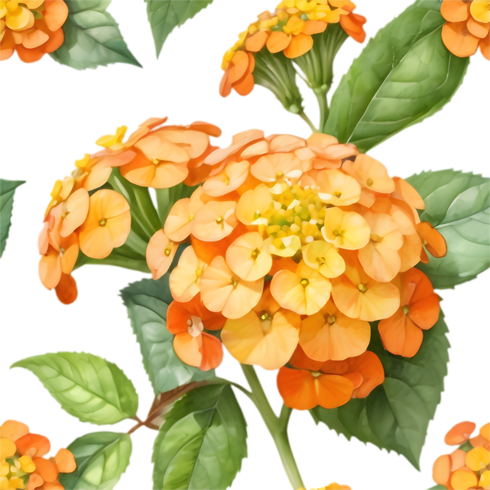 Stunning Lantana Floral Graphic Art. . png