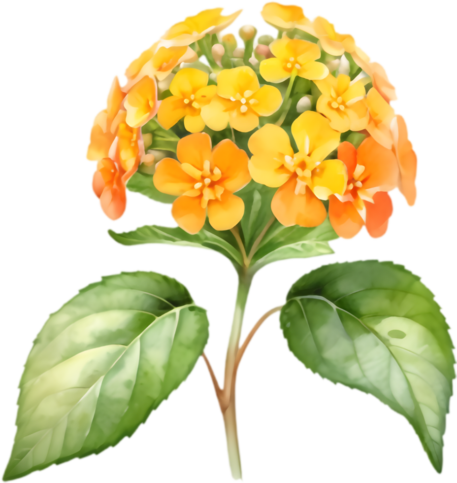 Alluring Lantana Camara Floral Design. . png
