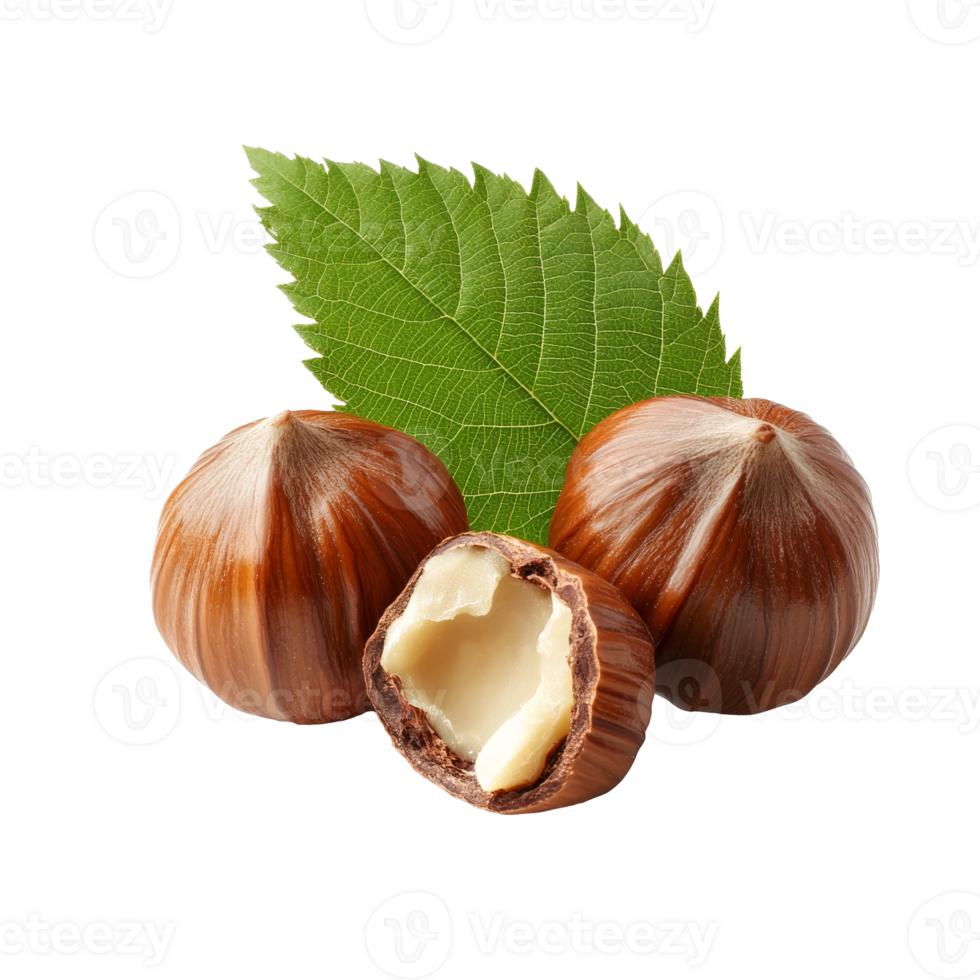 Chestnuts with green leaf on white isolated transparent png
