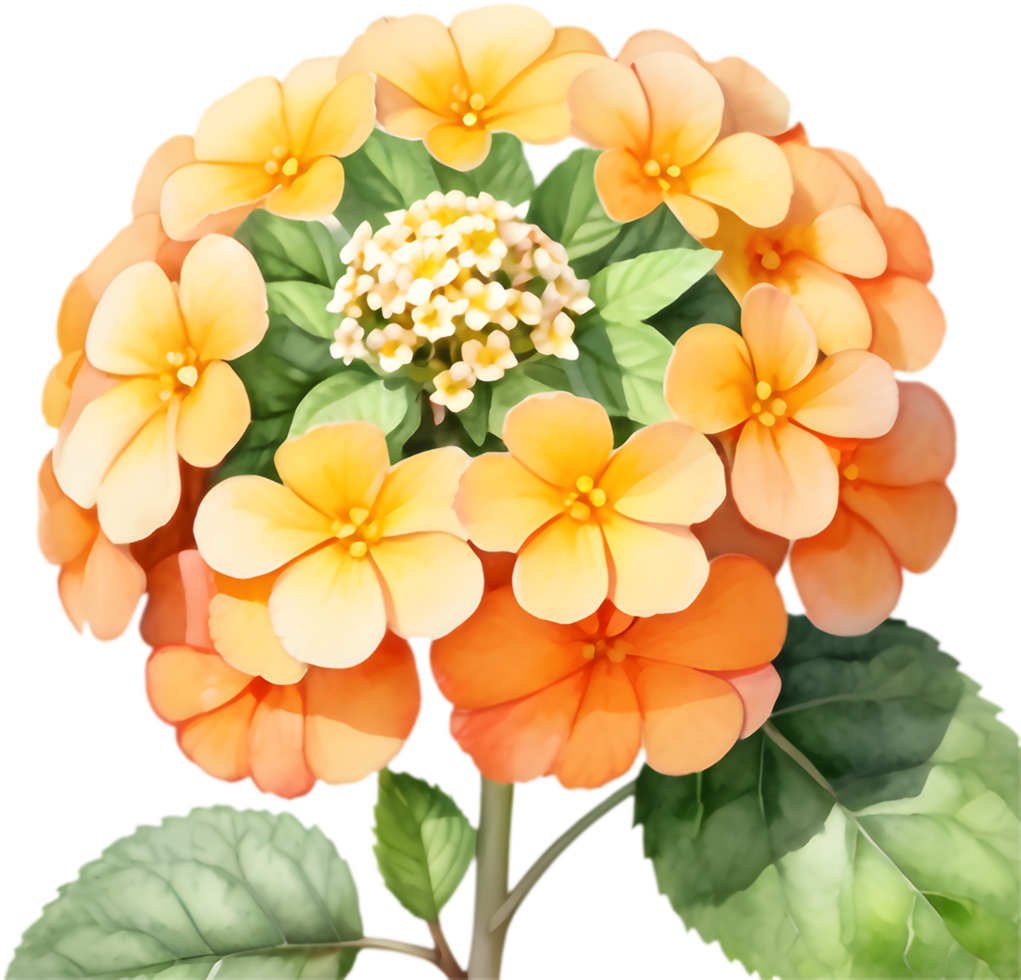 Enchanting Lantana Flower Nature Design. . png
