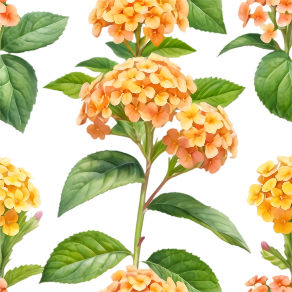 Tropical Lantana Blossom Decorative Illustration. . png