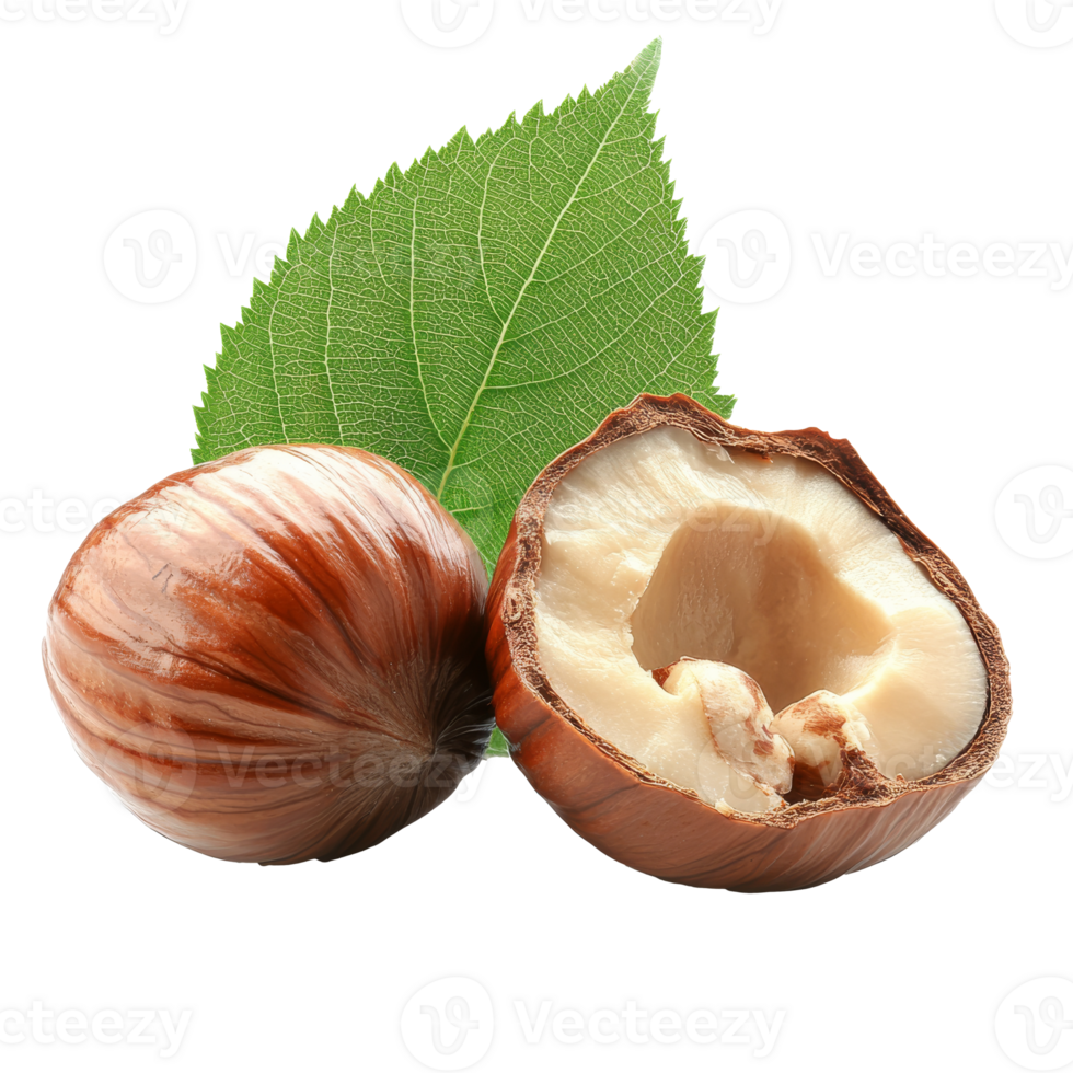 Hazelnuts with green leaf, white bg isolated transparent png