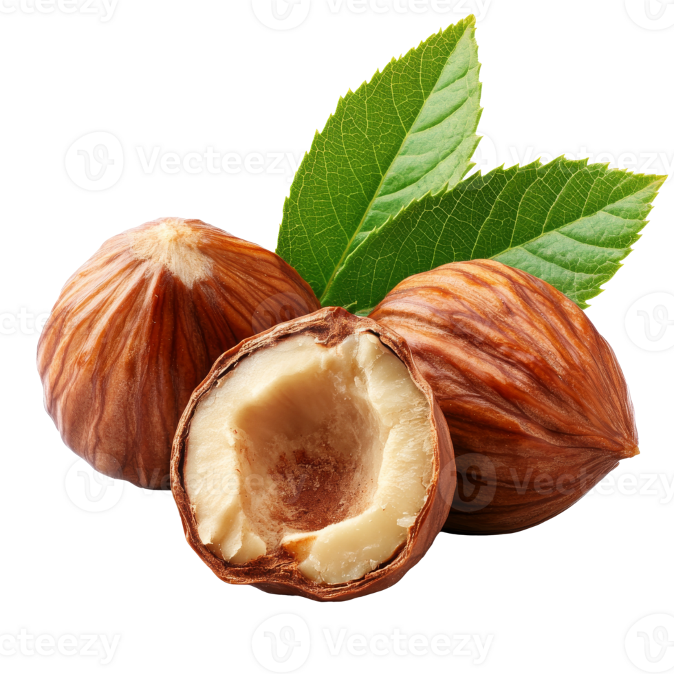 Hazelnuts with green leaves on white isolated transparent png
