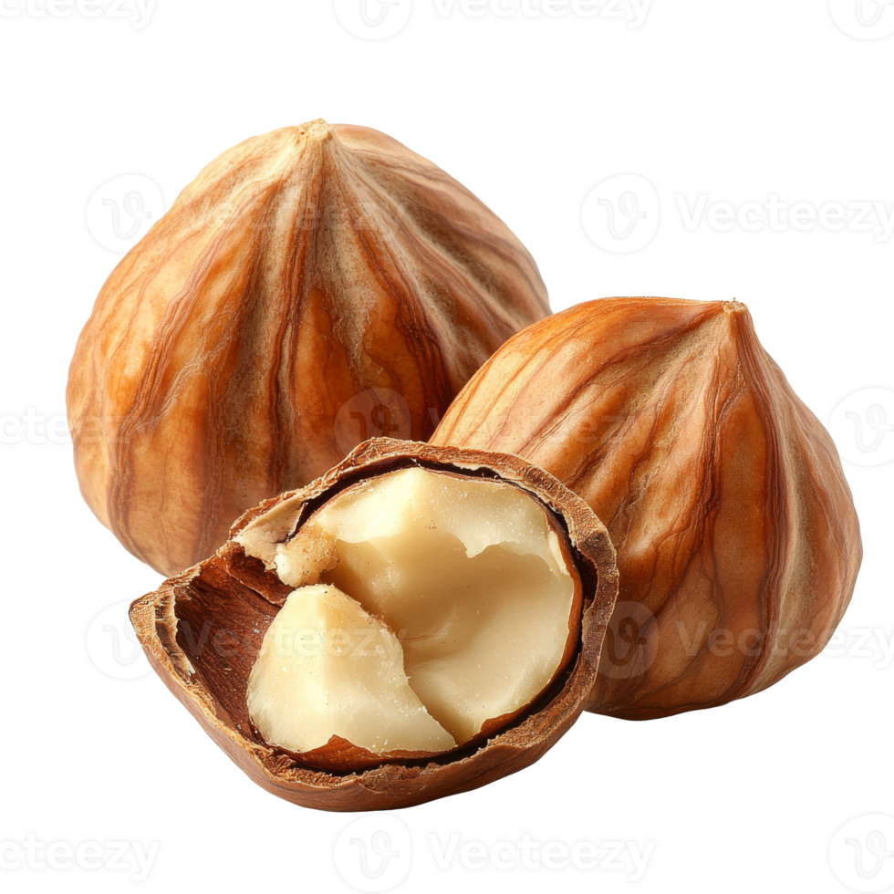 Hazelnuts half cracked open on a white surface isolated transparent png