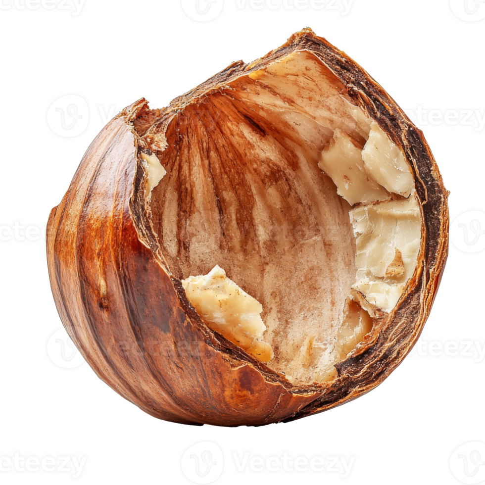 Cracked hazelnut with creamy interior isolated transparent png