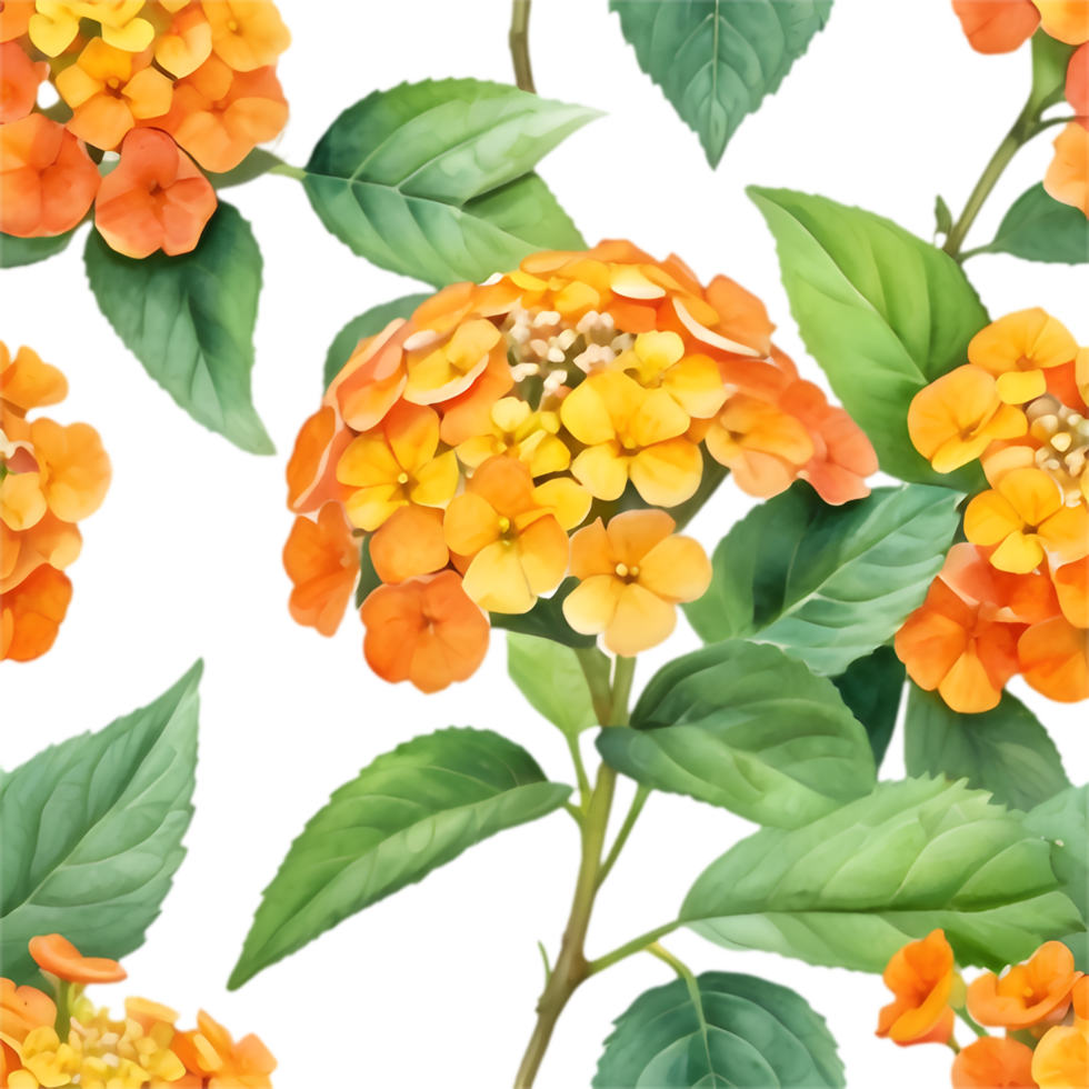 Decorative Lantana Bloom Home Decor Art. . png