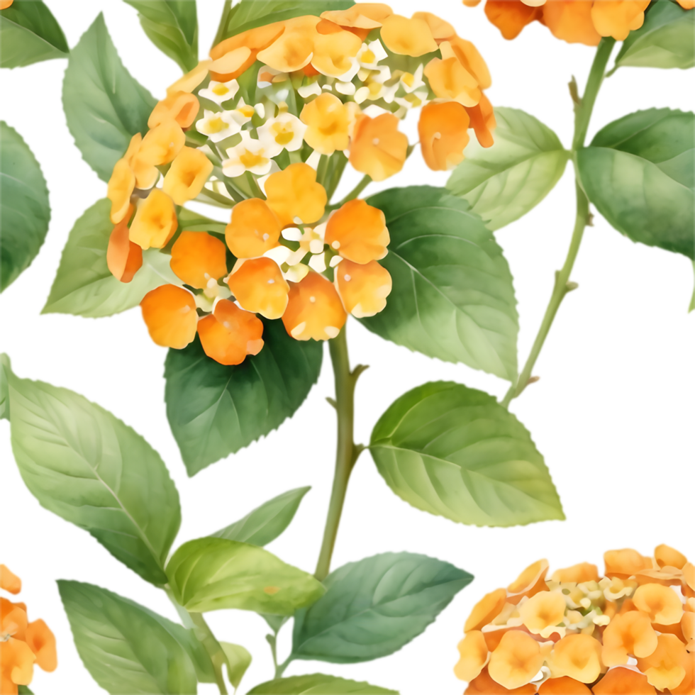 Vibrant Lantana Flowers Cluster Illustration. . png